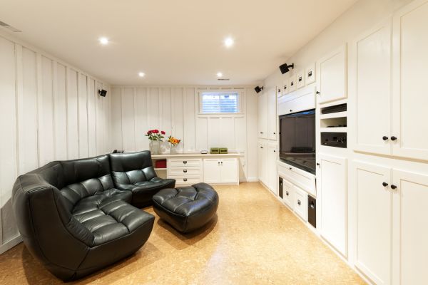 Entertainment Center Installation in Vienna