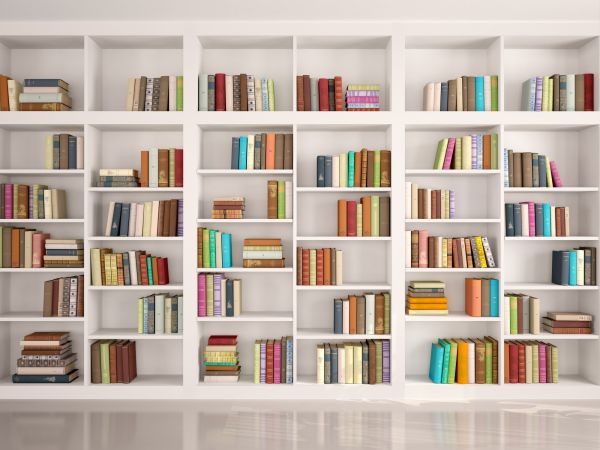 Bookshelf Assembly in Vienna