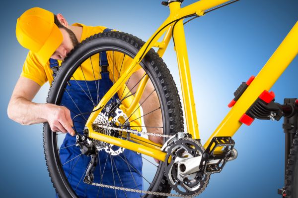 Bike Assembly in Vienna