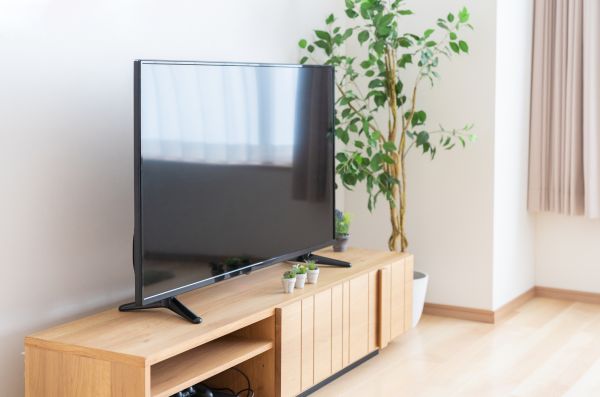 TV Stand Assembly in Vienna