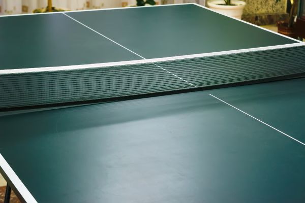 Ping Pong Table Assembly in Vienna