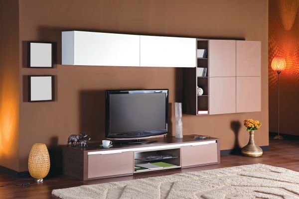 TV Stand Installation in Vienna